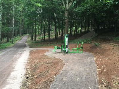 Workout fitnes Trutnov - zvelebení lesoparku